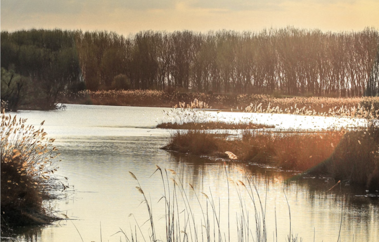 Wastewater Recycling and Conservation Tips for Businesses