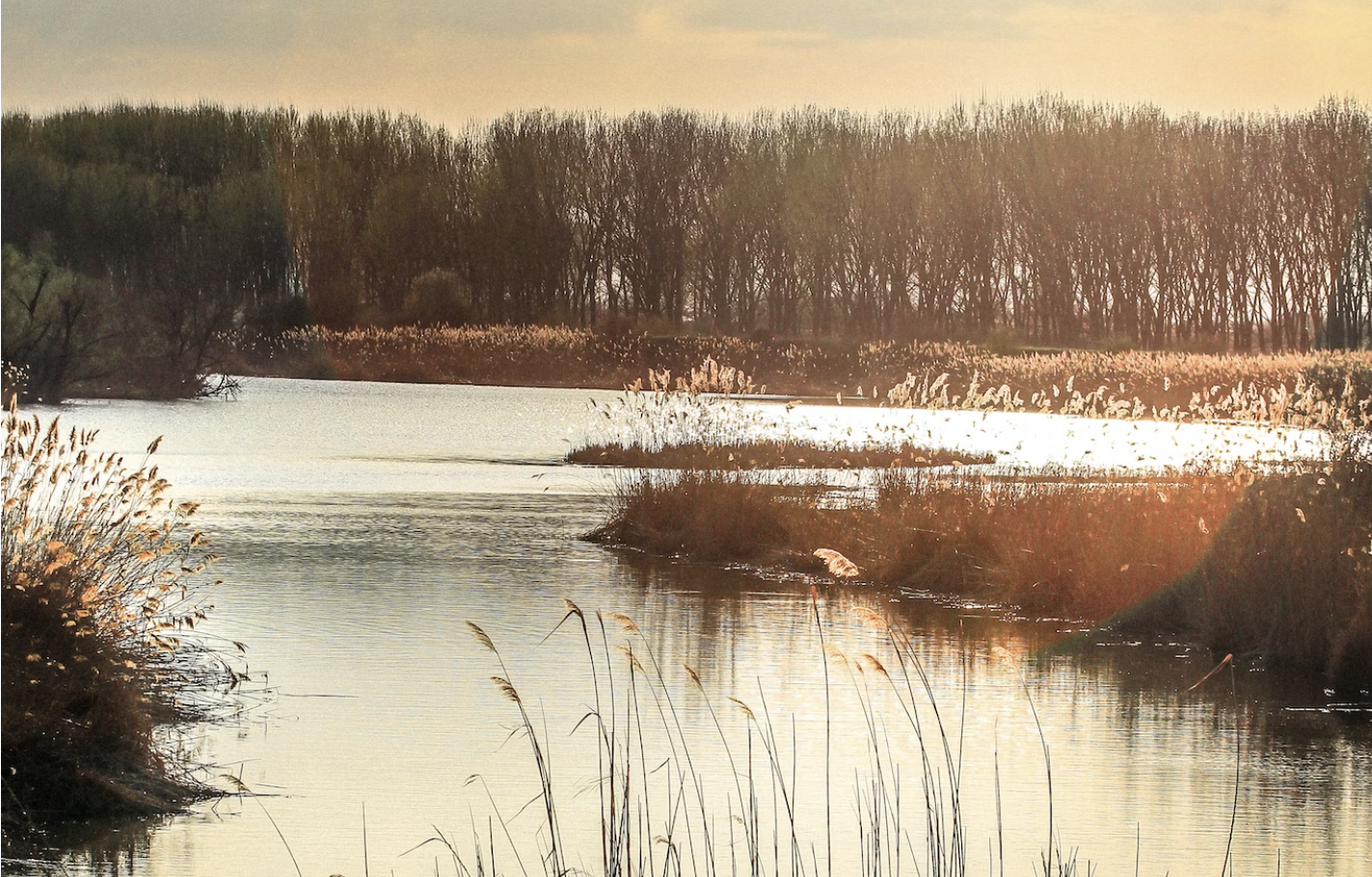 wetlands in Serbia