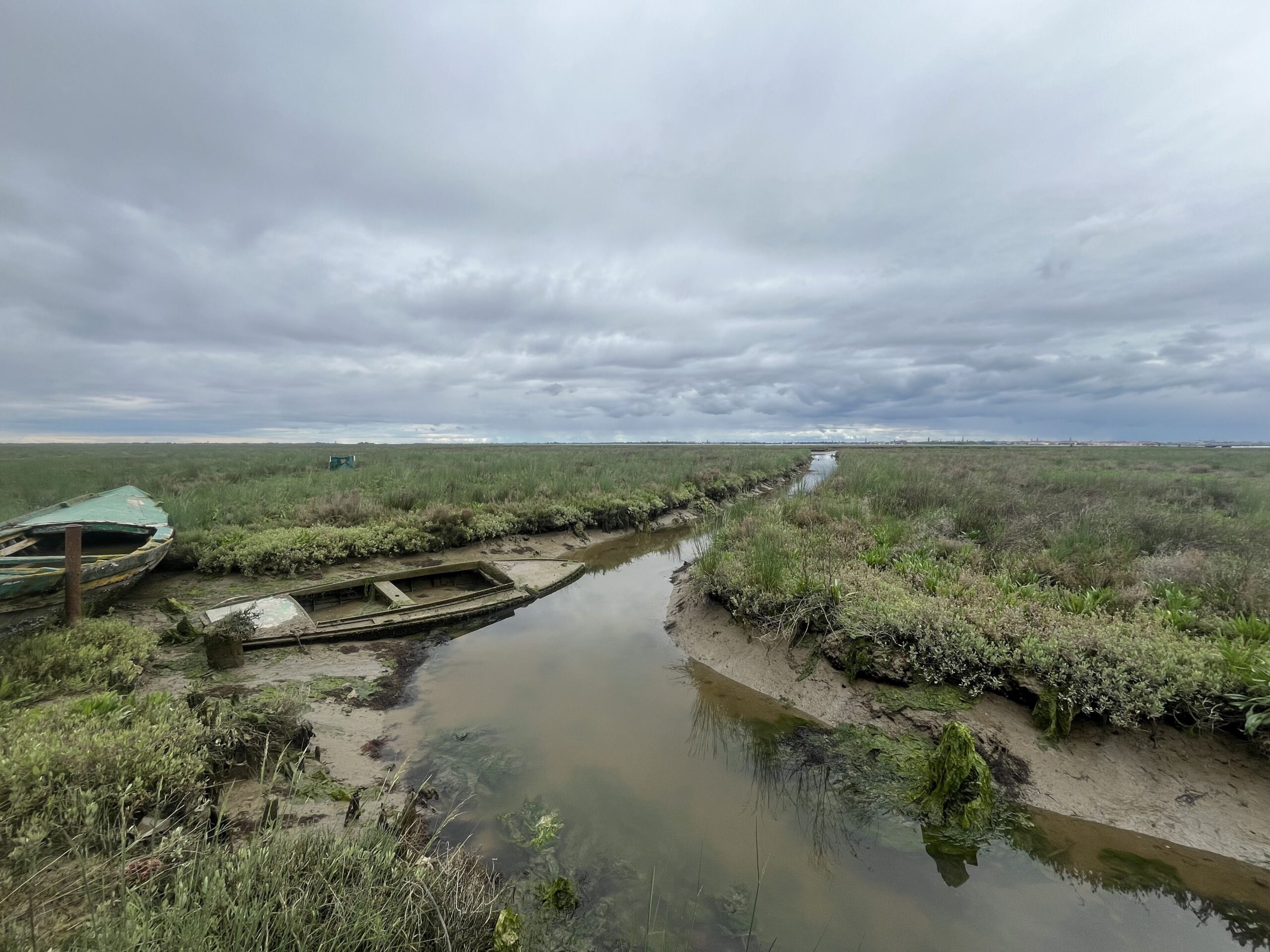 floating cricket habitat in Venice lagoon, interactive sound garden with cricket audio, Professor Alex Felson with conservation exhibit, Venice Biennale site featuring ecological installation, Associate Professor Miriama Young tuning cricket choir installation