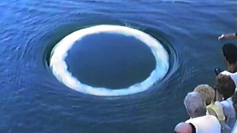 Whale watching tours find whales talking to people with strange bubble rings