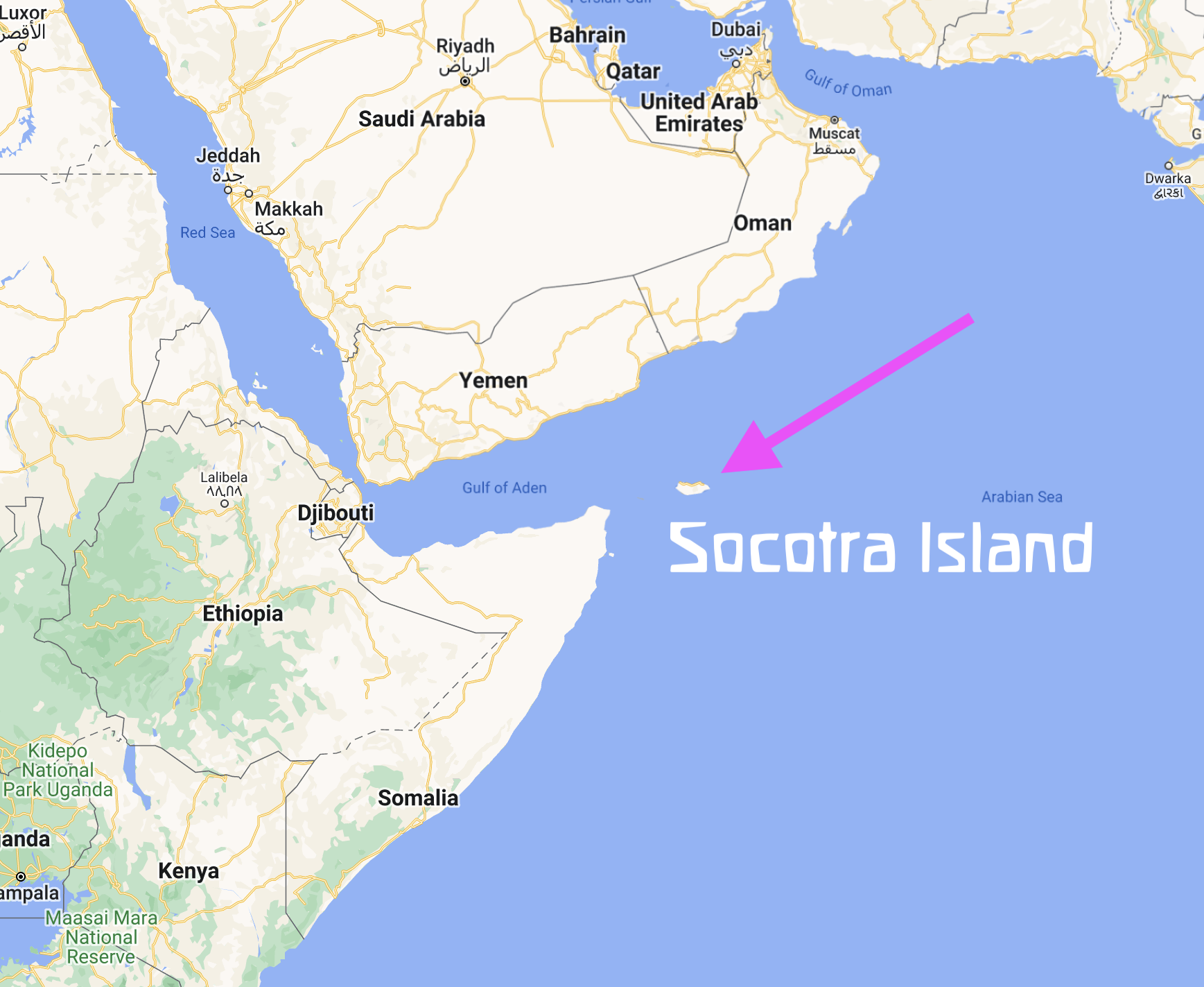 Where is Socotra Island off the coast of Yemen and Djibouti?