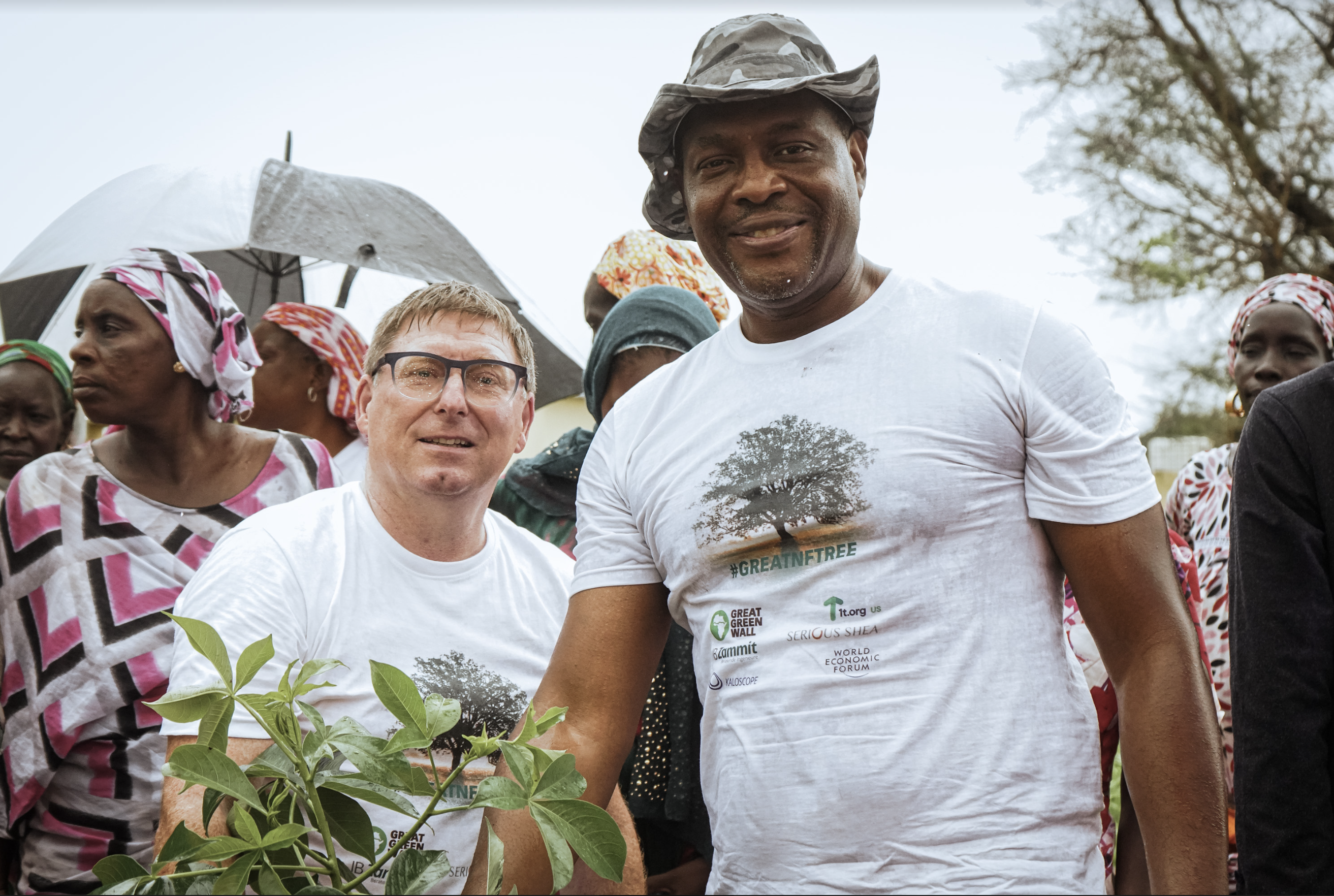 william kwende, grat african wall, sahel, reforesting trees africa, dubai