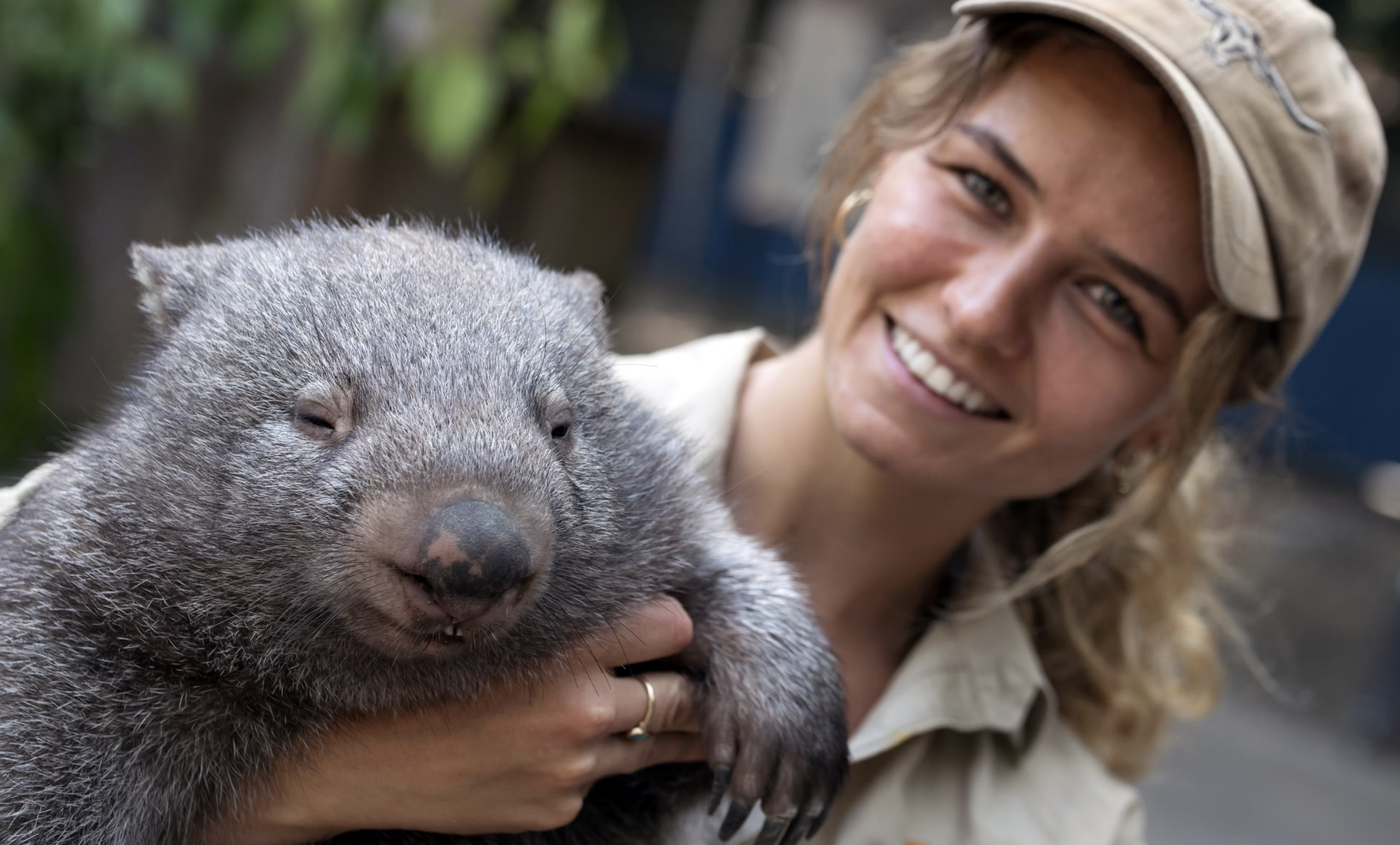 Why do wombats produce cube-shaped poop? Scientists discovered that unique regions of the wombat intestine shape feces into cubes, helping the animals mark territory while inspiring new engineering ideas.
