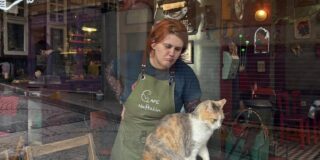 A street cat lounging outside Naftalin Kafe in Balat, Istanbul