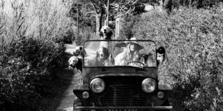 Brdigette Bardot and her dogs