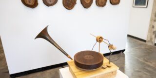 Funeral for a tree; Promotional material - Steve Parker.