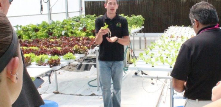 workshop-crpking-hydroponics.jpg