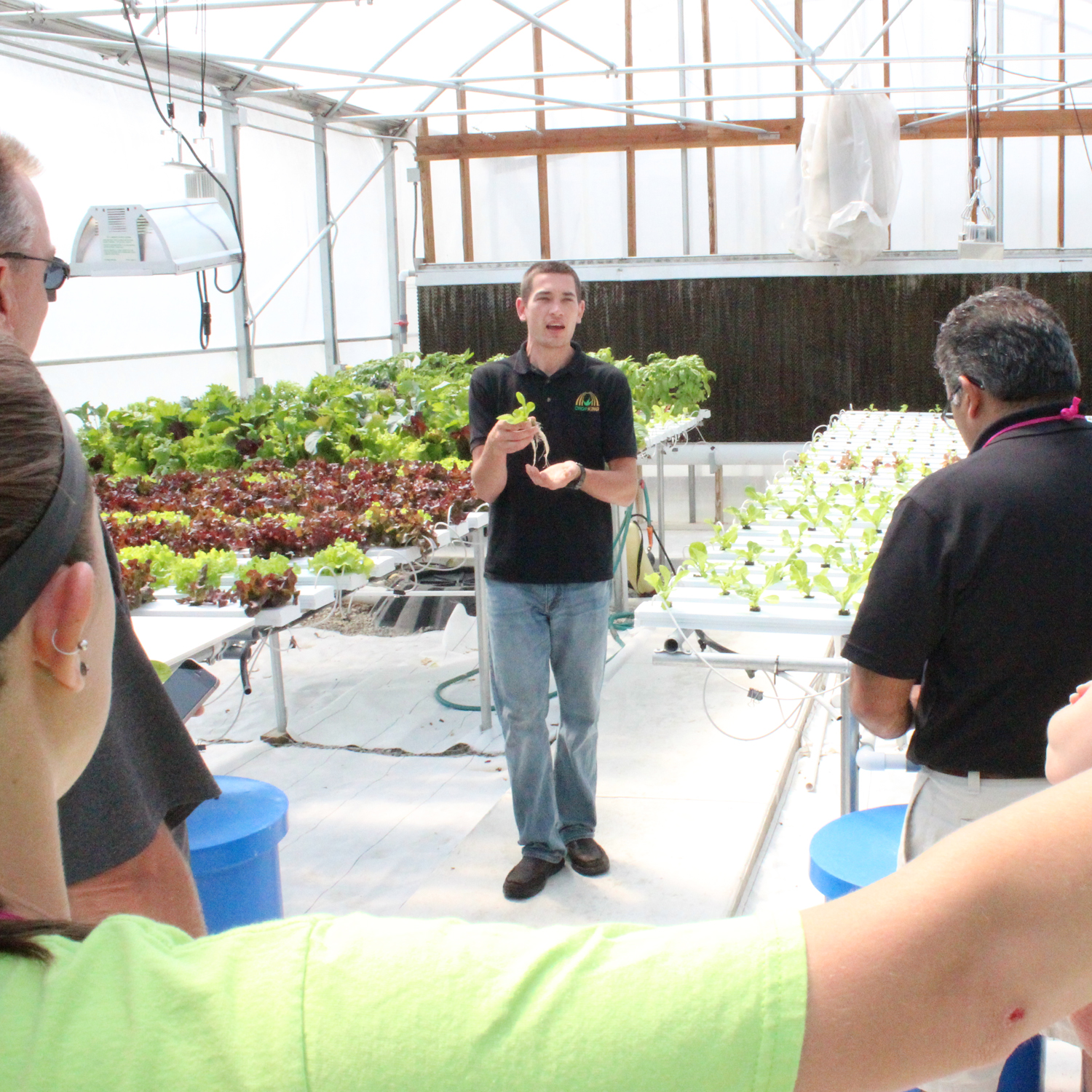 workshop-crpking-hydroponics