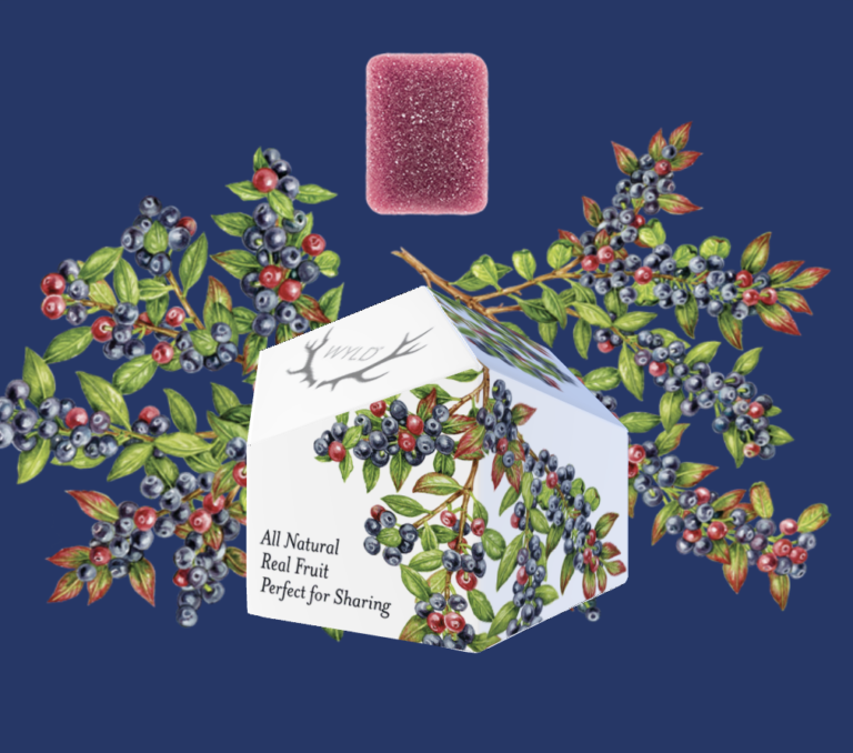 Scientists Crack the Code for Low-Cost, Low-Carbon Plastic Recycling