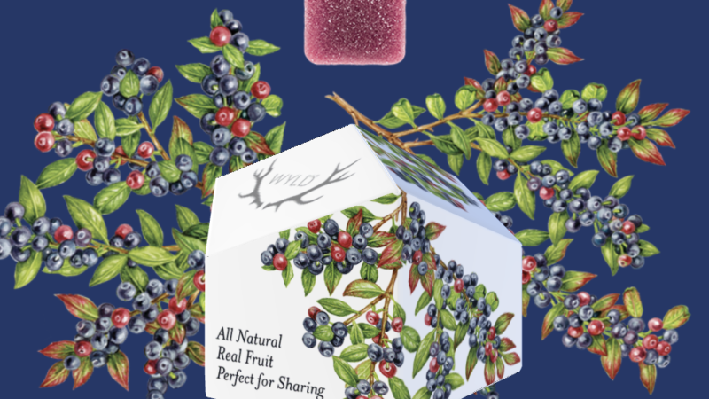 Scientists Crack the Code for Low-Cost, Low-Carbon Plastic Recycling