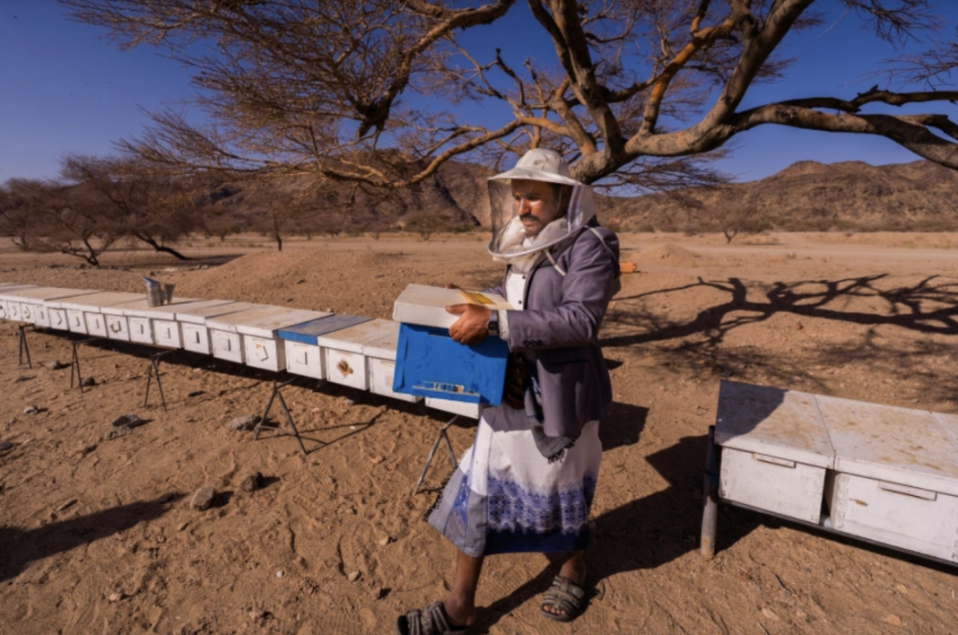 The tradition of honey in Yemen