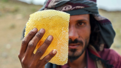 Sustainable development goals for Yemen?