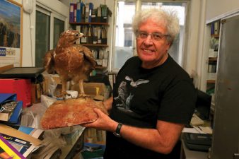 Yossi Leshem Saves Birds and Pilots in Israel