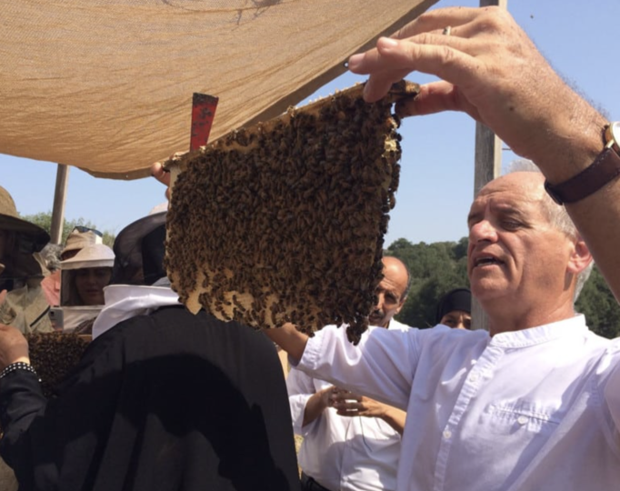 Bees for Peace in Israel uses biodynamic beekeeping to sweeten hearts ...