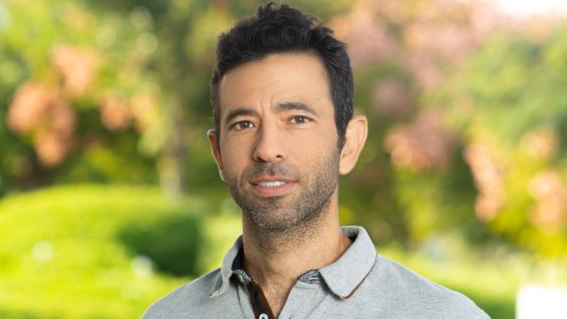 How bats navigate on sound alone over long distances