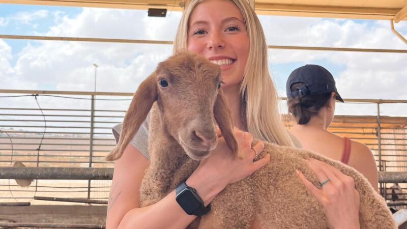 Bedouin Traditions to bring back a sustainable community with Project Wadi Attir